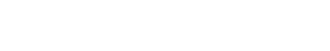 Magnisent